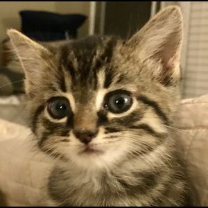 Meet your Posher, Lisa